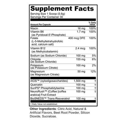 Brain Food + Electrolytes + Prebiotics Powder