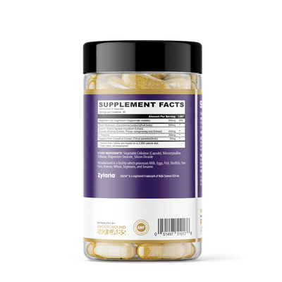 Snoozzze (Premium Sleep & Recovery Support)