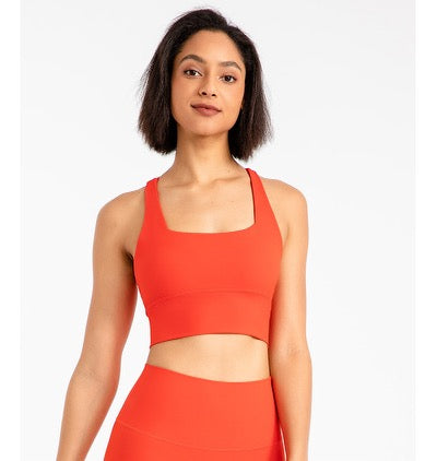 HD Apparel Intuitive Sports Bra